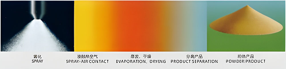 03 (1)